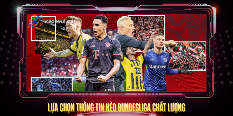 Lua Chon Thong Tin Keo Bundesliga Chat Luong
