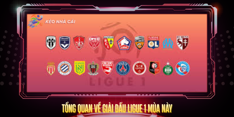 Tong Quan Ve Giai Dau Ligue 1 Mua Nay